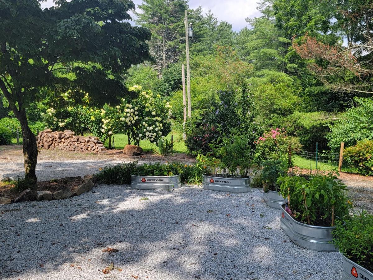 דירות פרנקלין Mcternan Manor מראה חיצוני תמונה